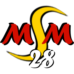 Logo de MSM28, votre Menuiserie Sur Mesure